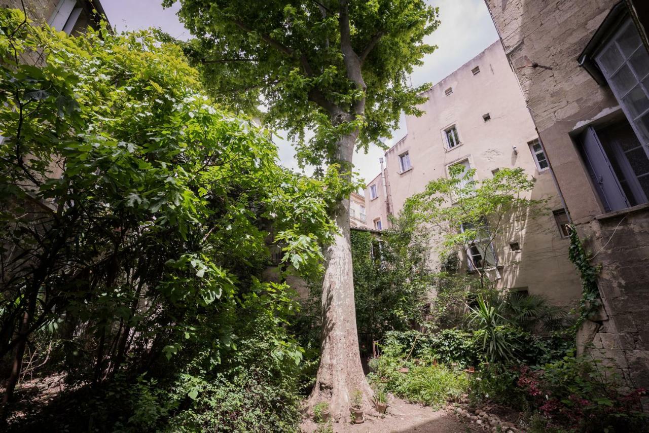 Les Jardins De L'Ecusson - Premiere Conciergerie Διαμέρισμα Μονπελιέ Εξωτερικό φωτογραφία